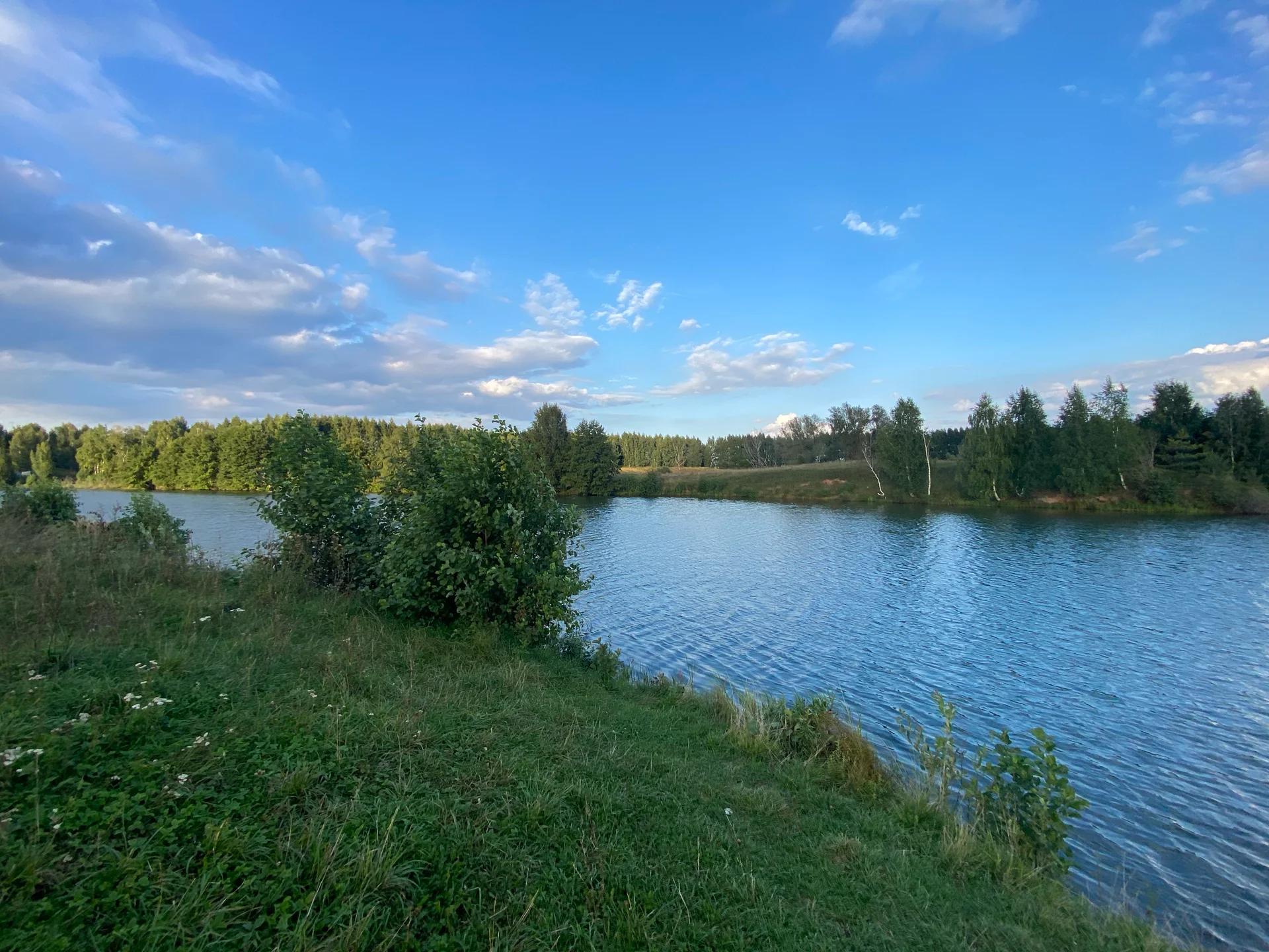 Лебединое (Плотина)