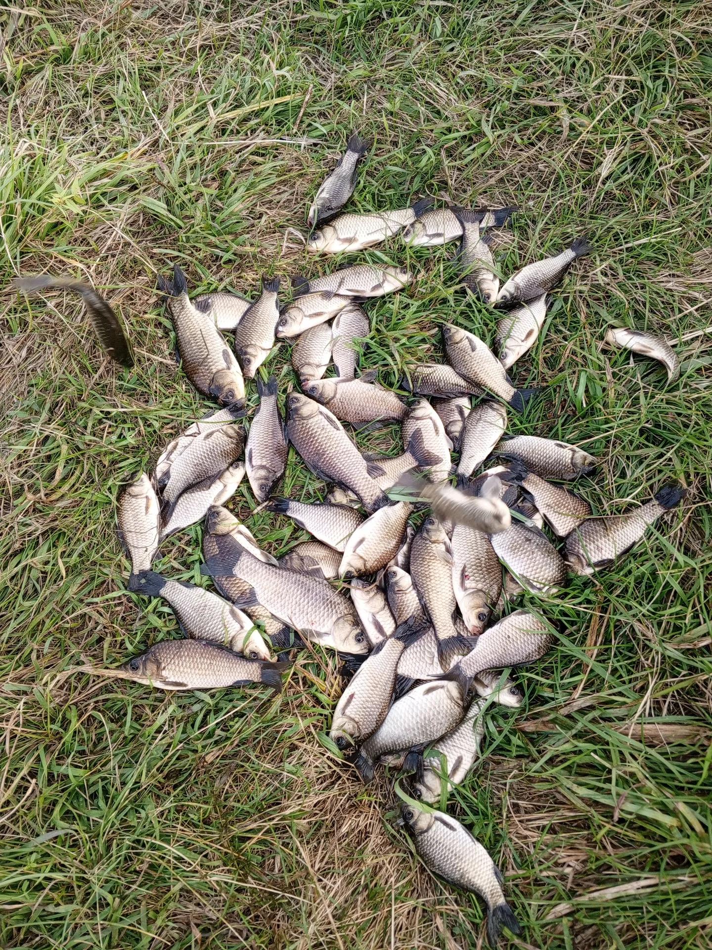 Мореходное