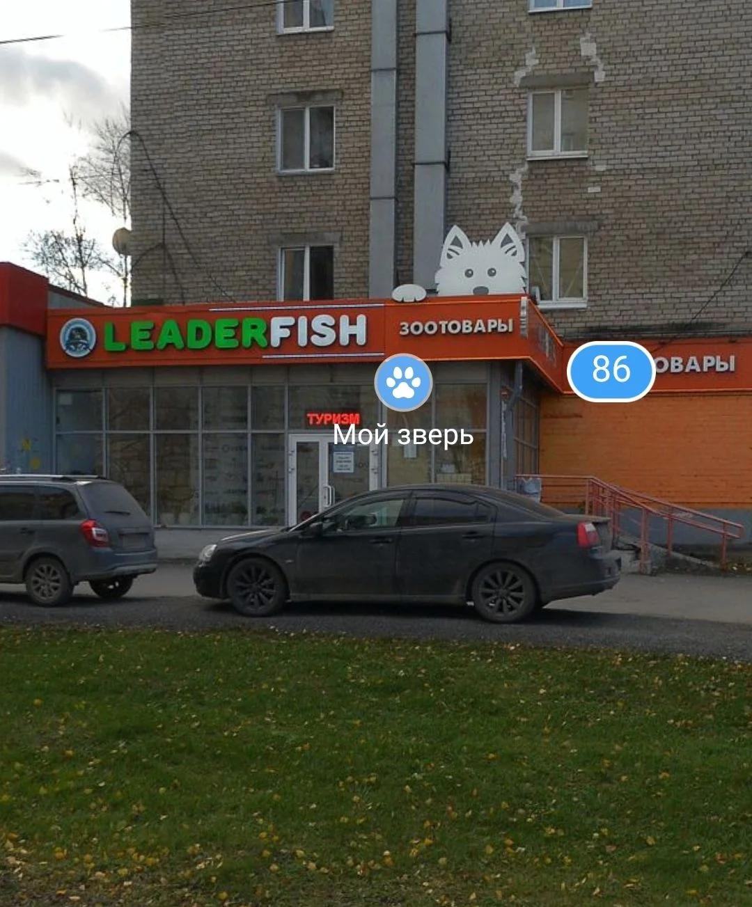 Лидер Фиш
