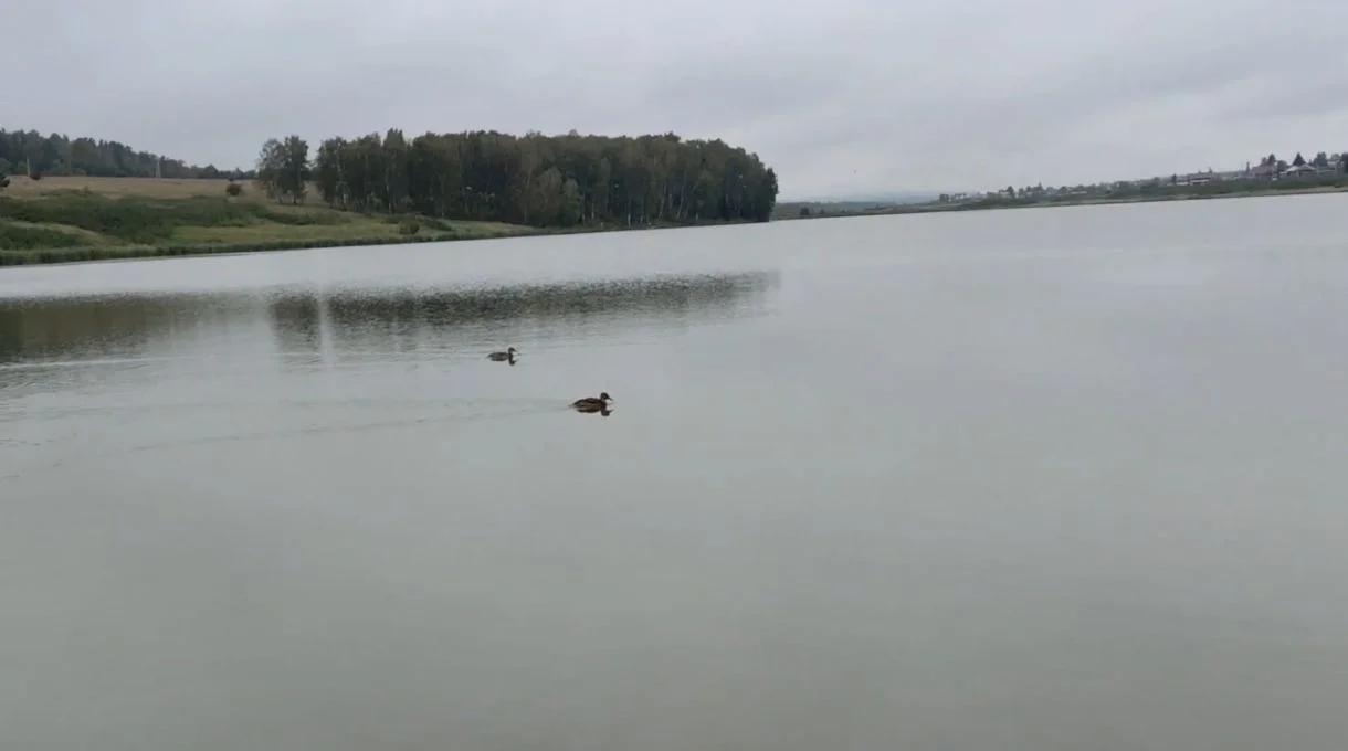 Погорельский
