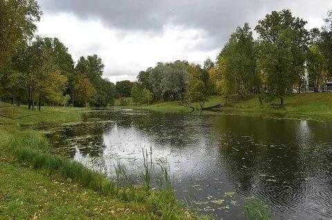 Графский (Никитинский мост)
