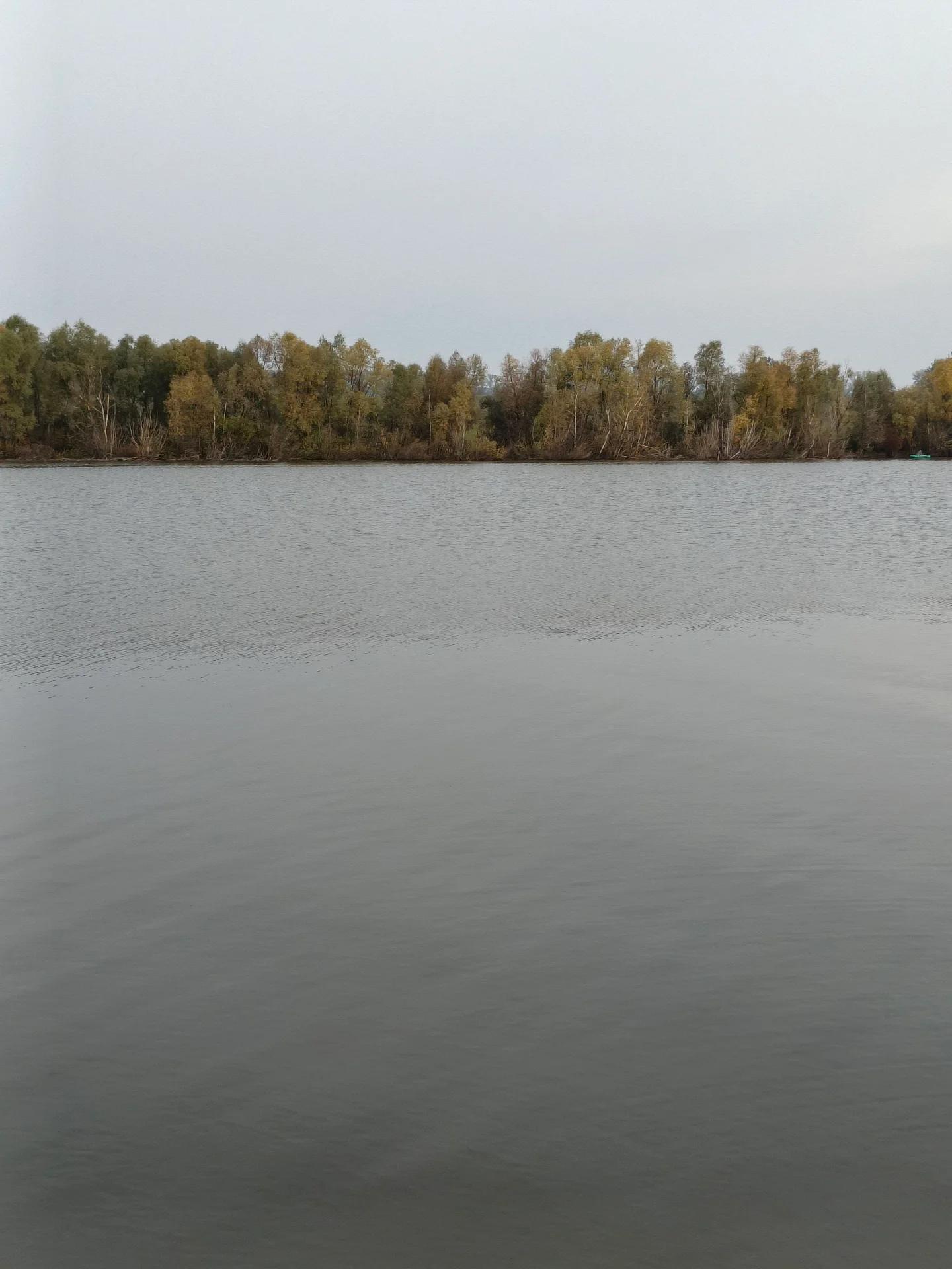 Власиха (Вторая дамба)