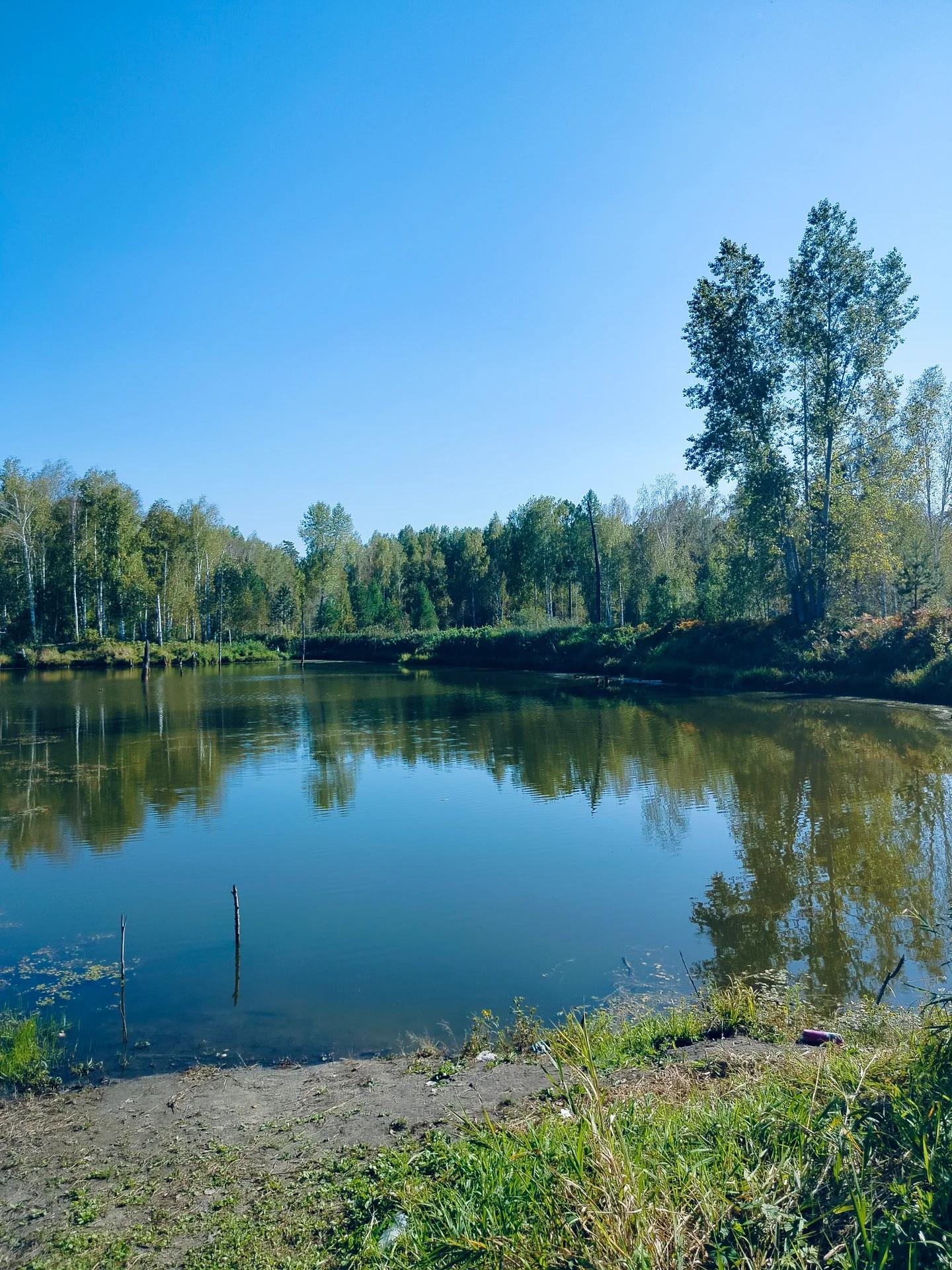 Крутиха