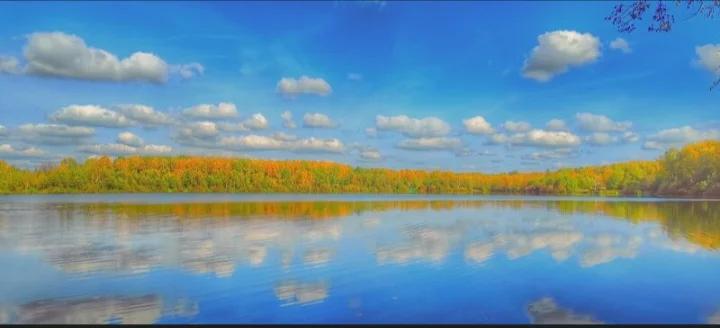 Медвежьи