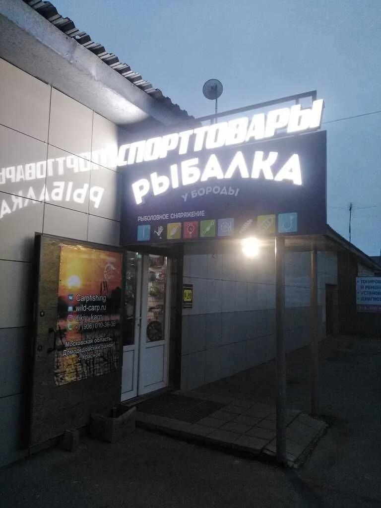 У Бороды