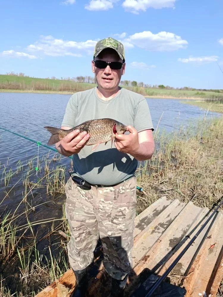 Комихинский