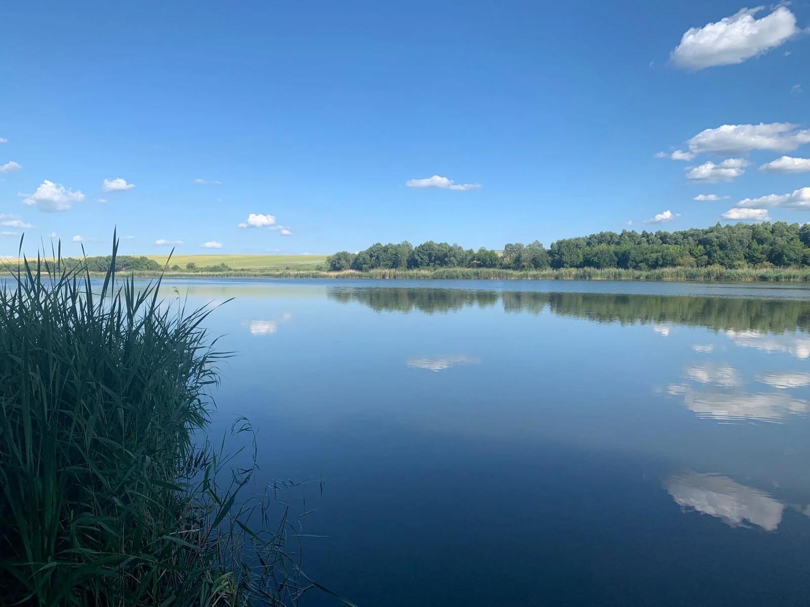 Млодать (Тарусовка)