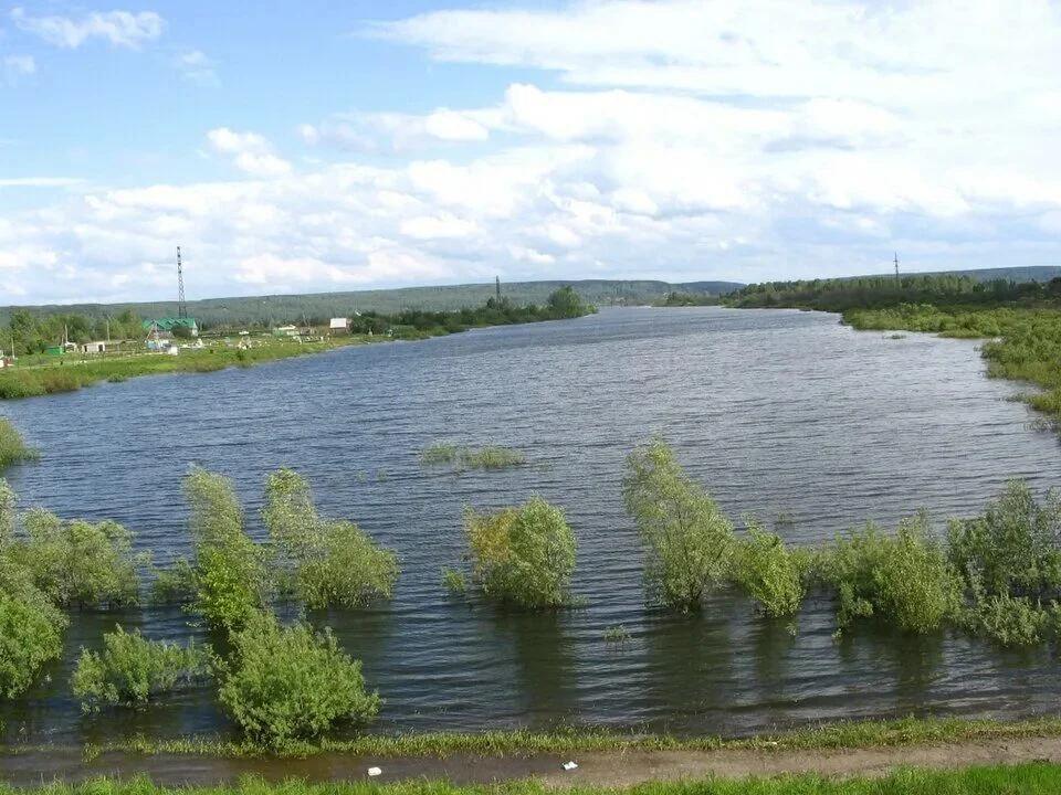 Сенная Курья