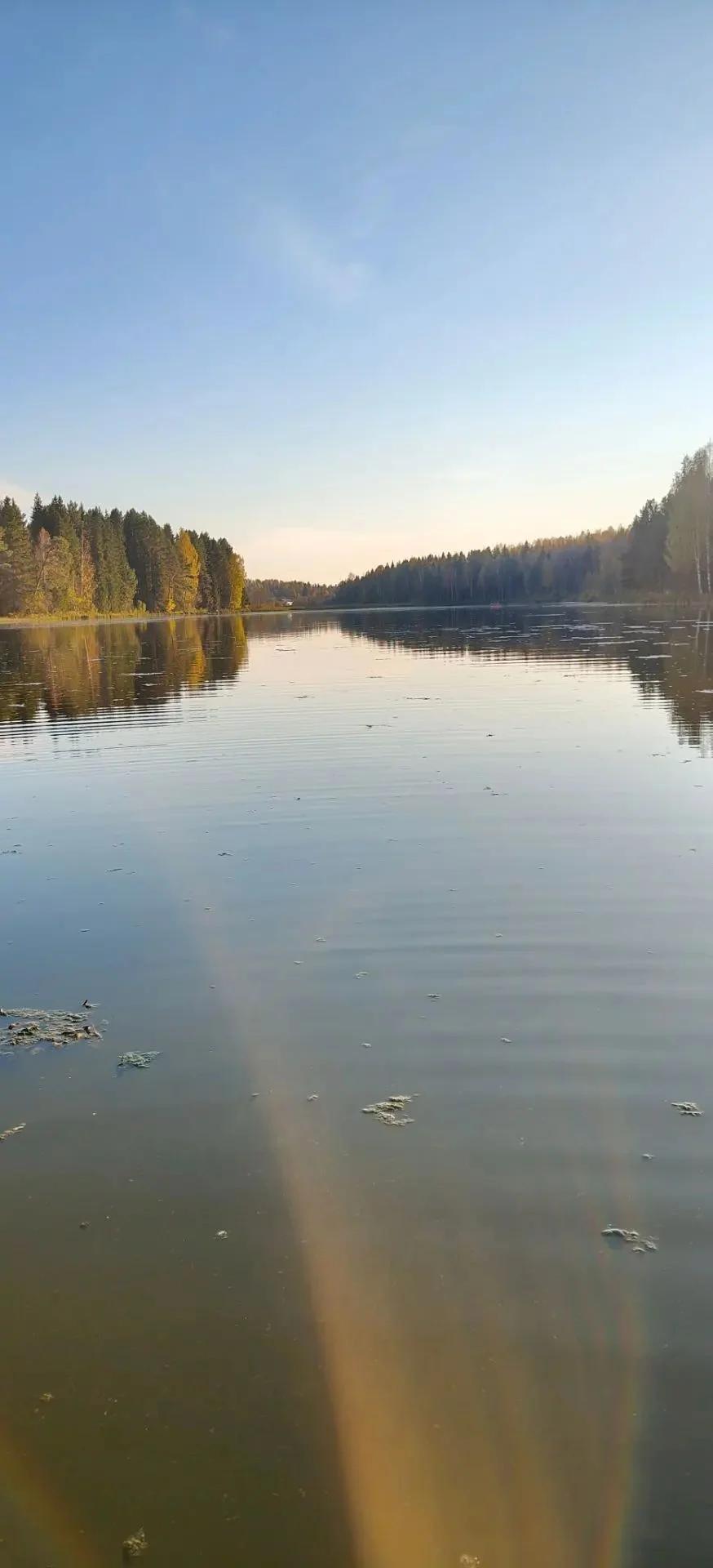 Светлянка