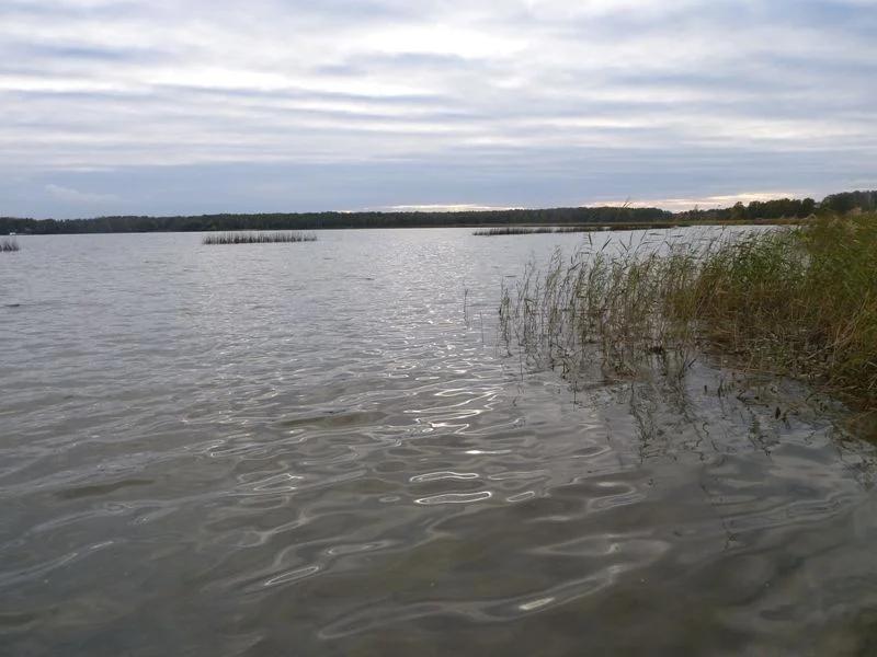 Круглое