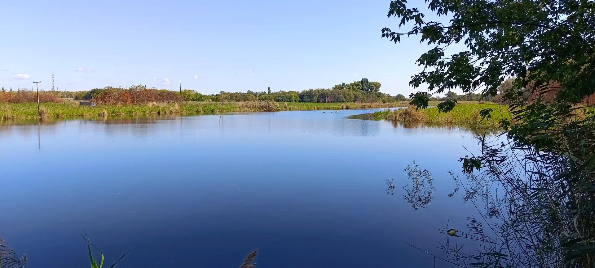 Козлова