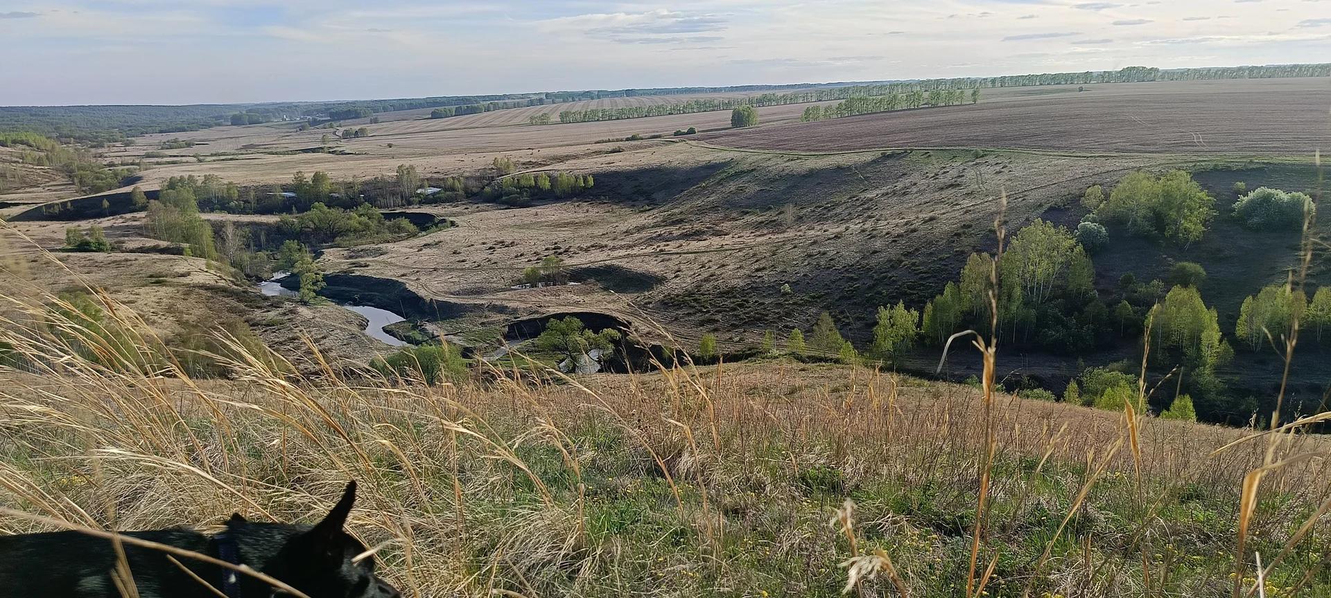 Еландушка