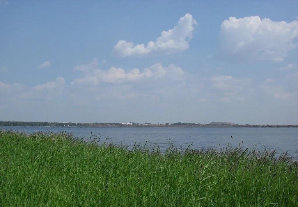 Курочкино