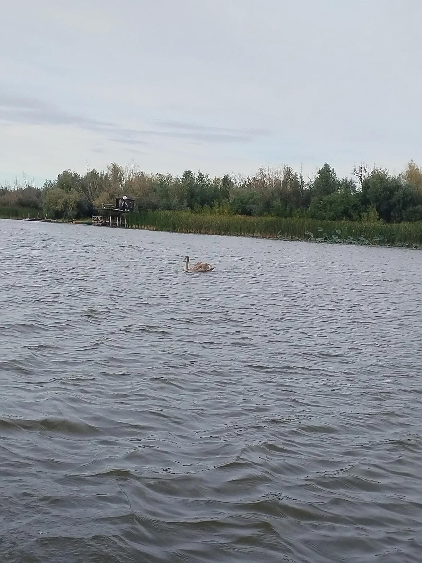 Рыба на крючке