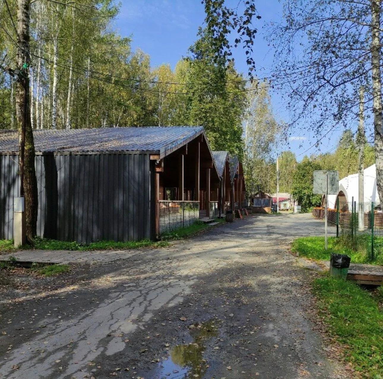 Новая Волна