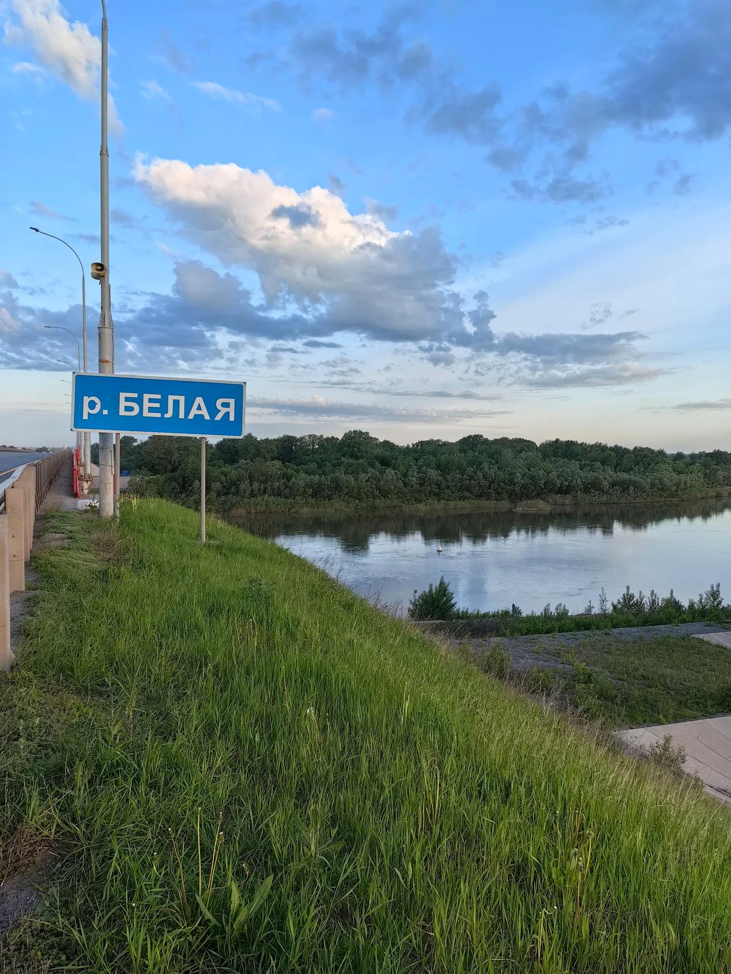 Белая
