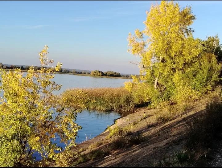 Кама (Дамба)
