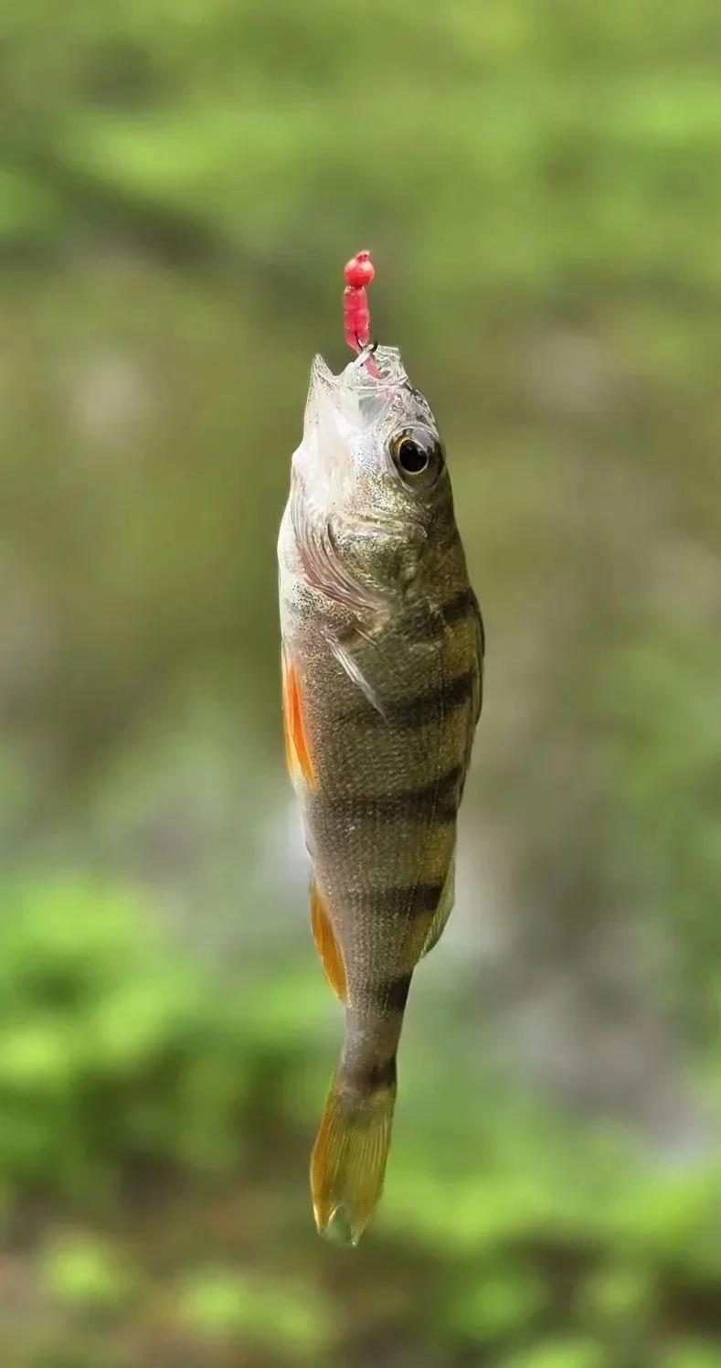 Яуза