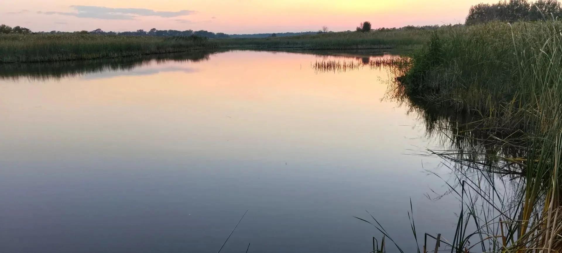 Алексеевская