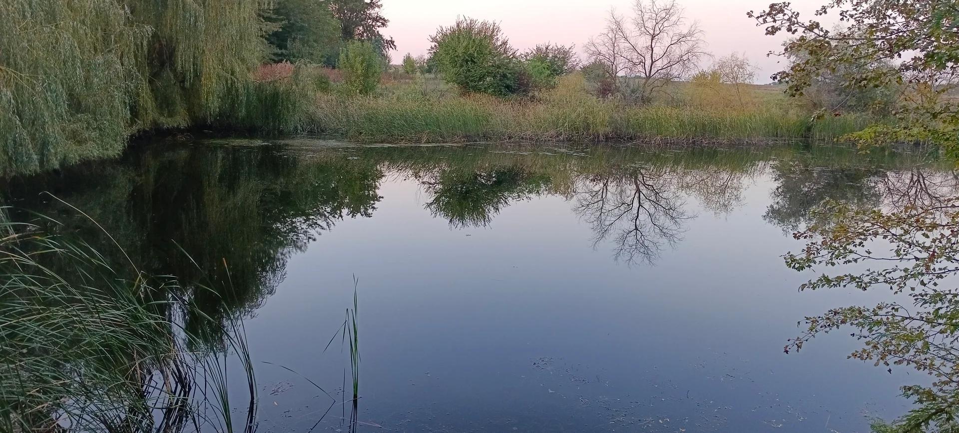 Алексеевская