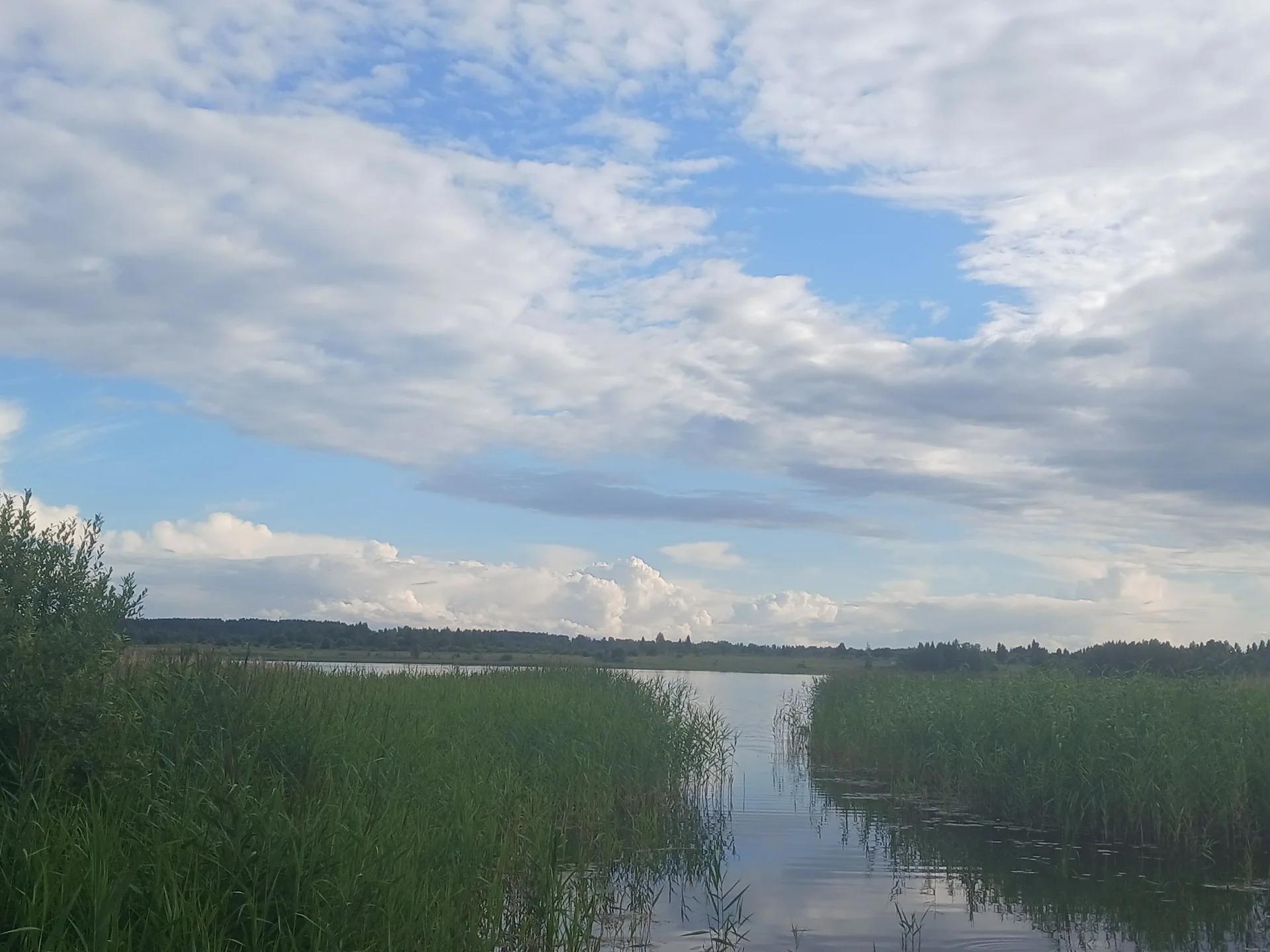 Шадрицкое