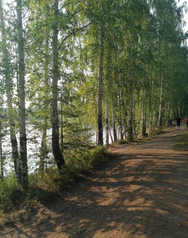 Шабровский