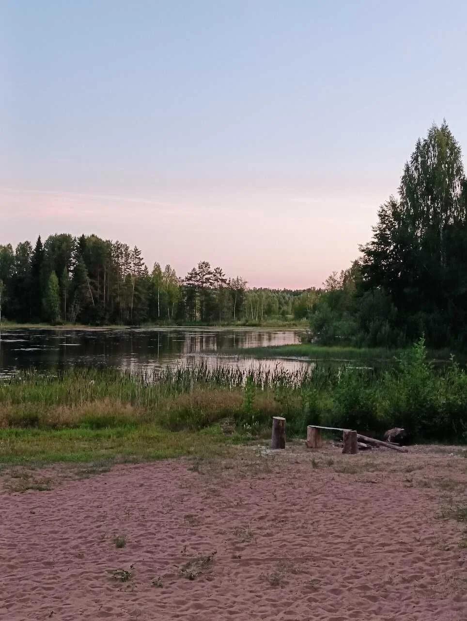 Чернушка