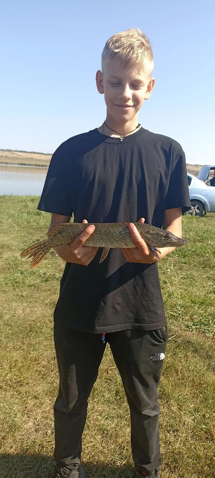 Жилино