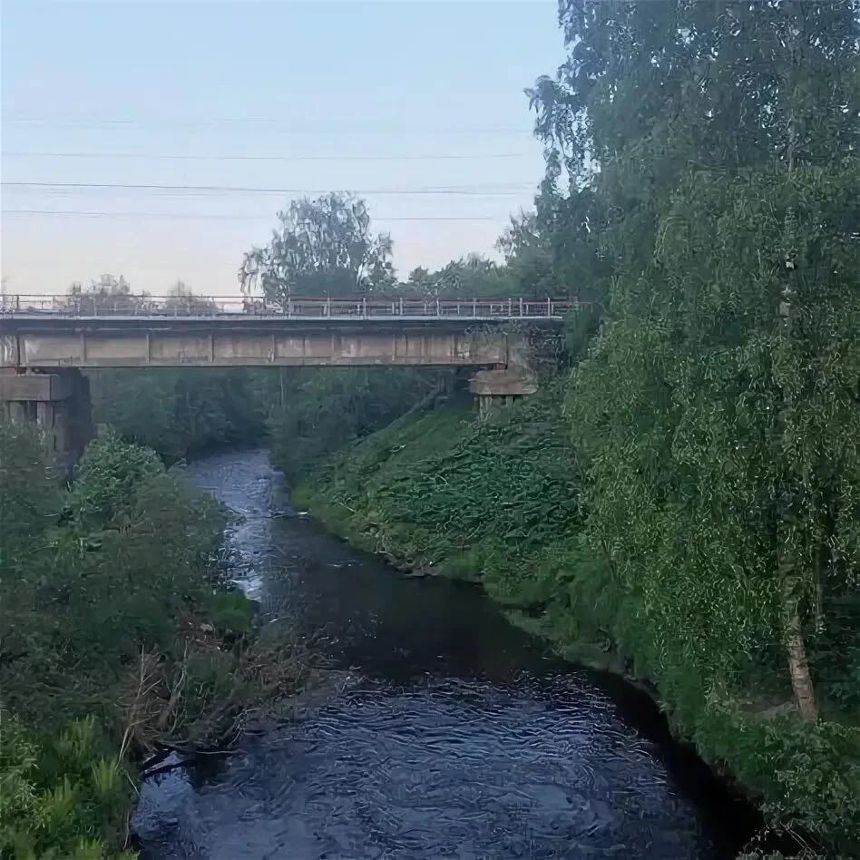 Чёрная Калитва (Мост Россошанский)