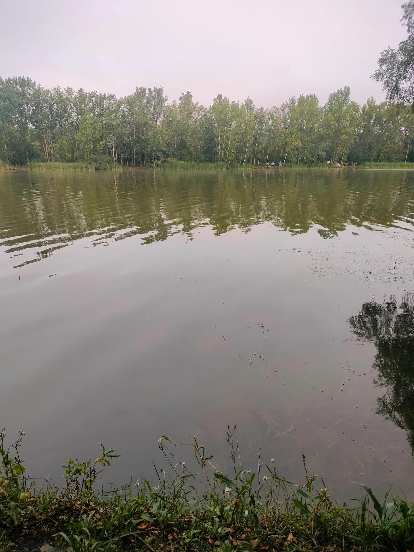 Кузькинский