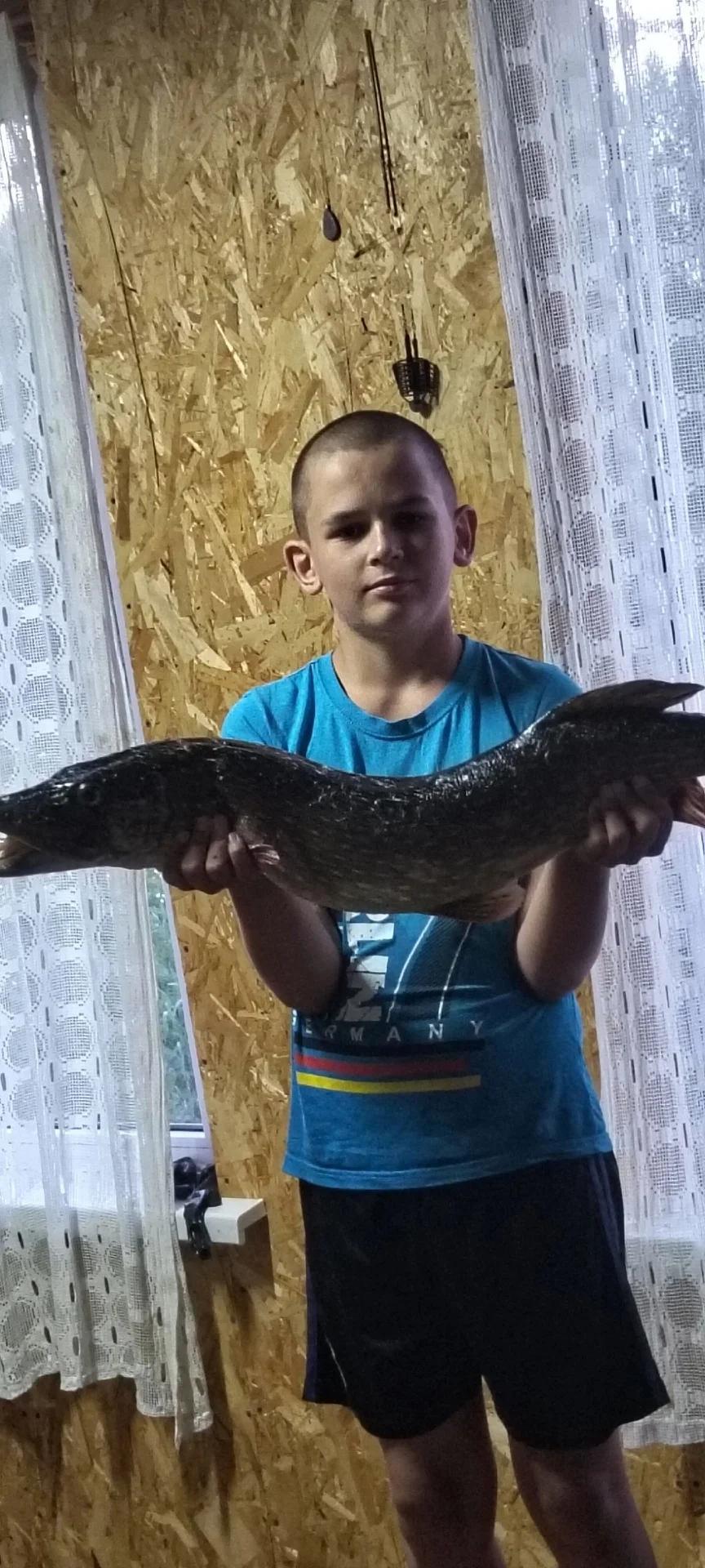 Ловать