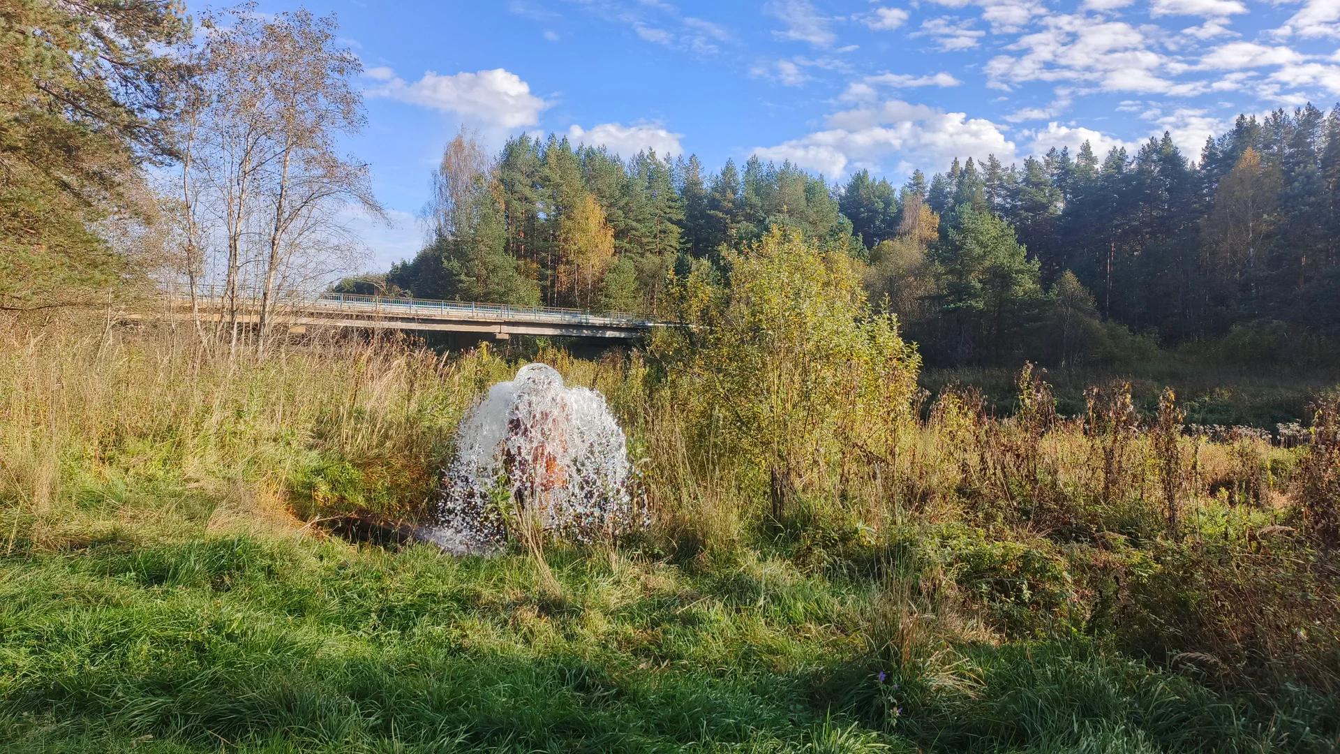 Осуга, фото 3