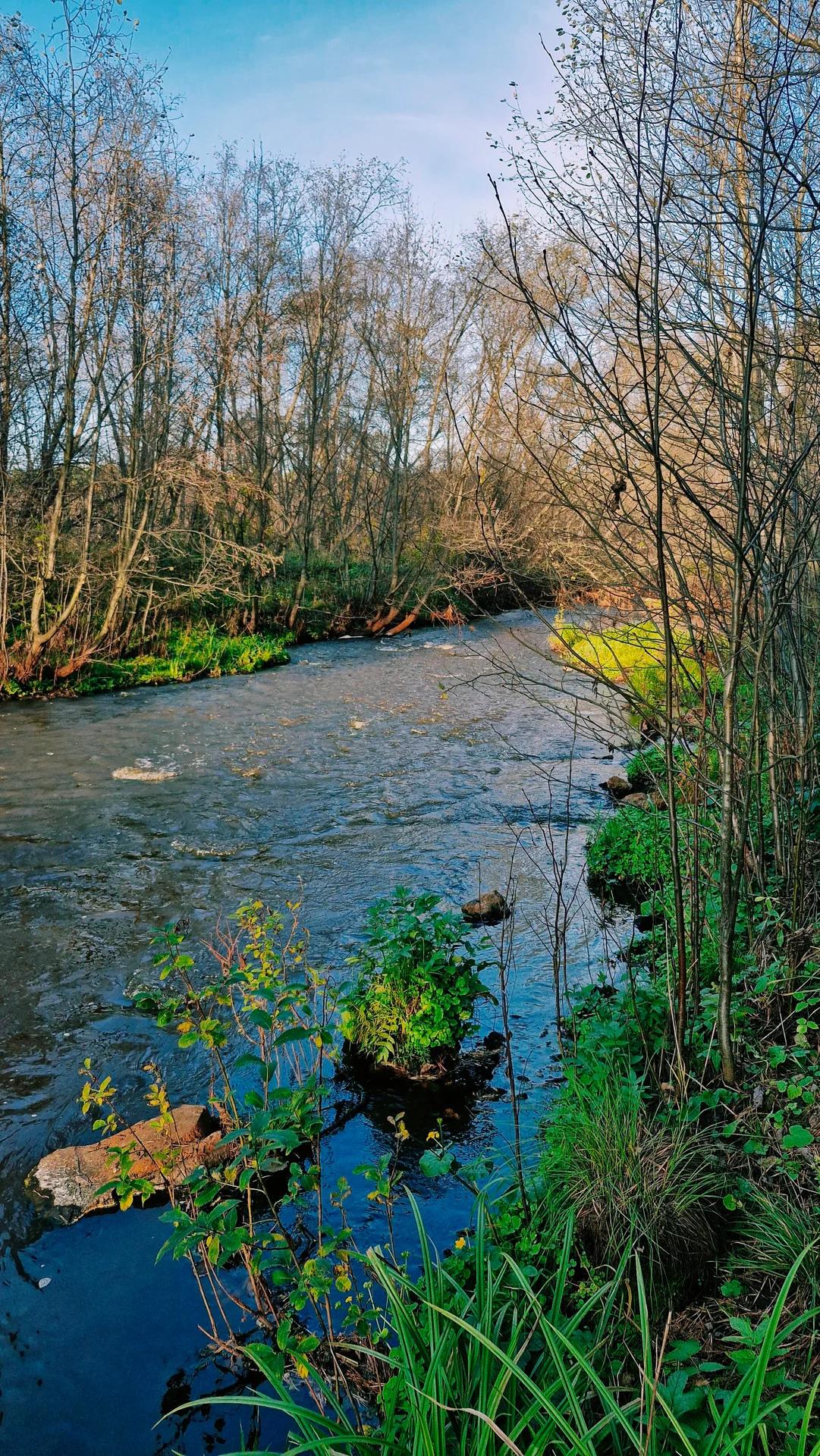 Кунара