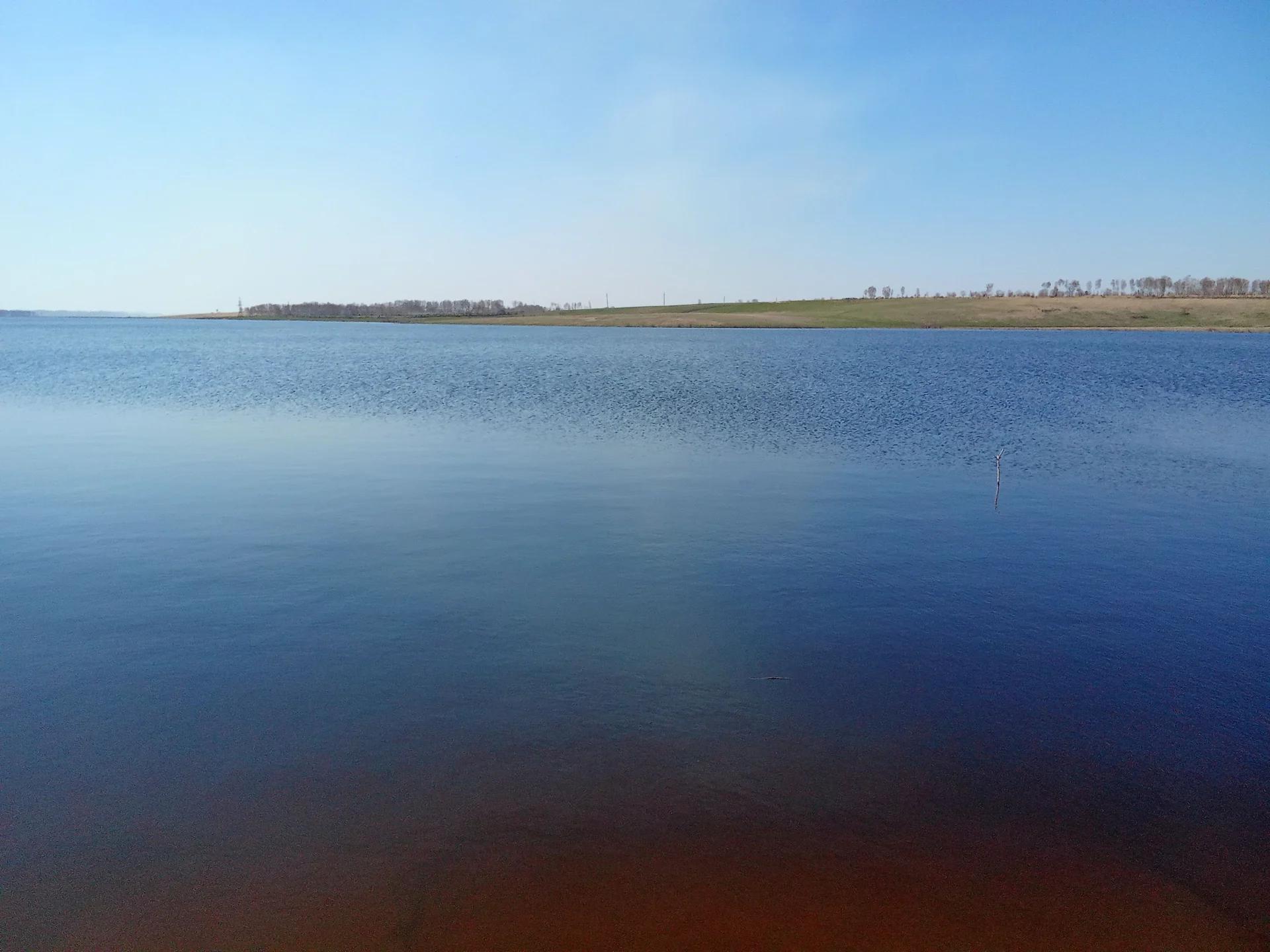 Шипуновское (Клепечиха), фото 2