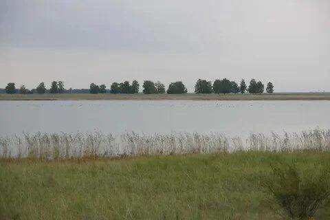 Плотавское