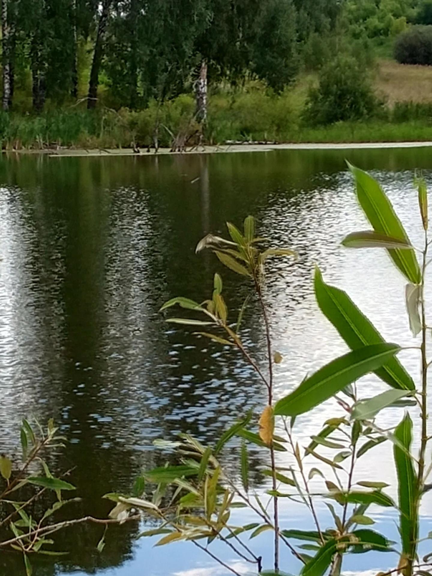 Барановский