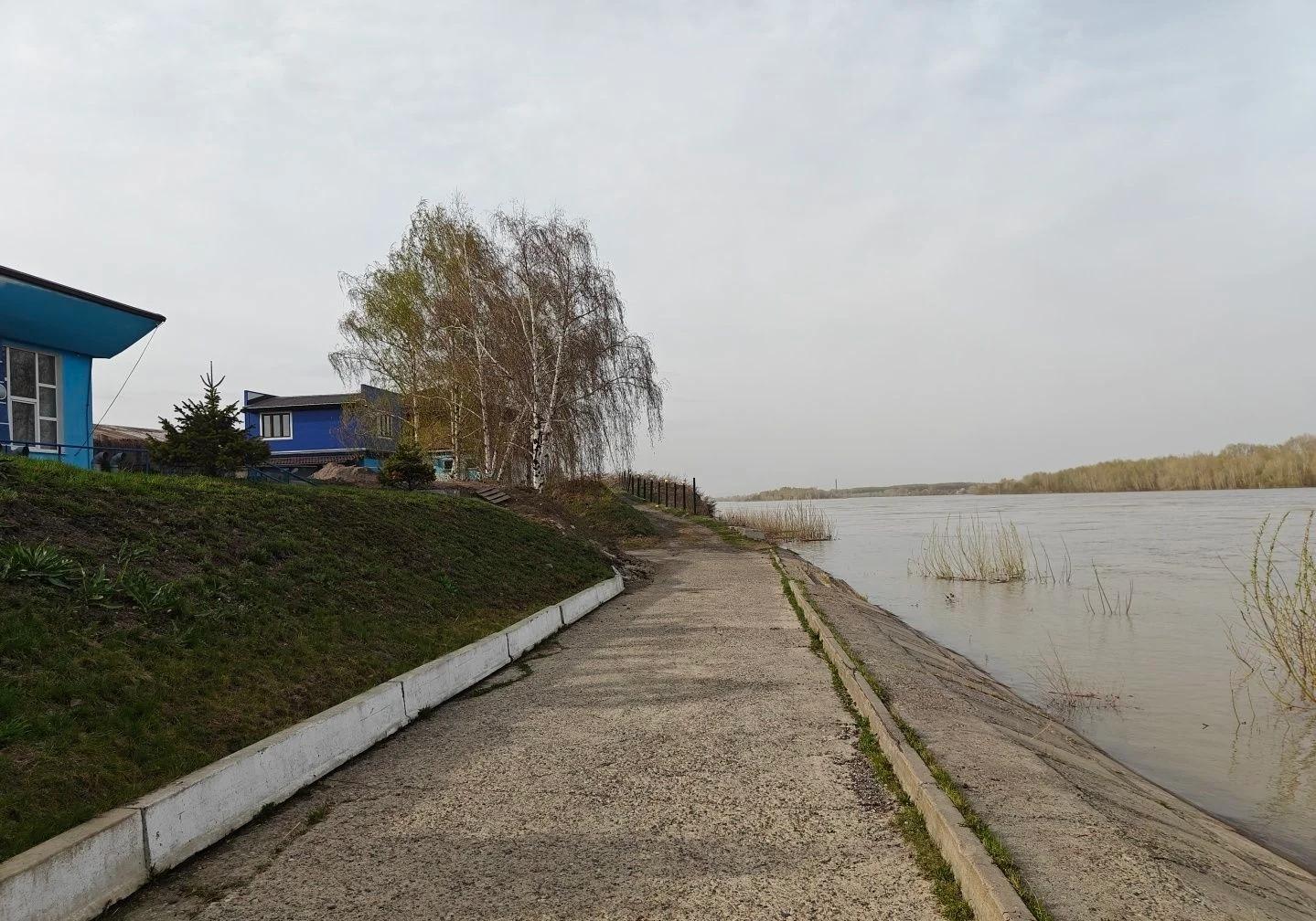 Томь (Аба)