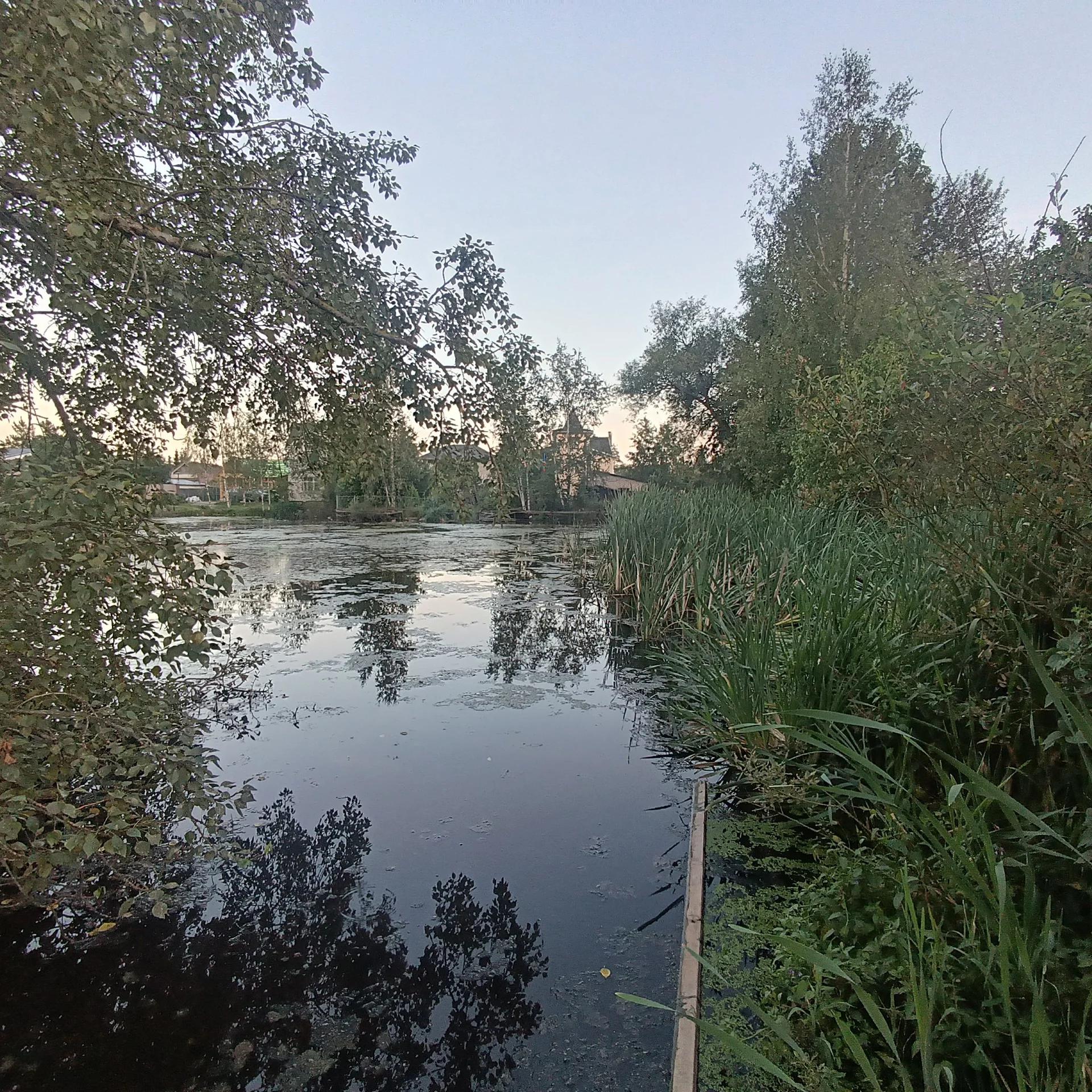 Торики (Пожарный), фото 3