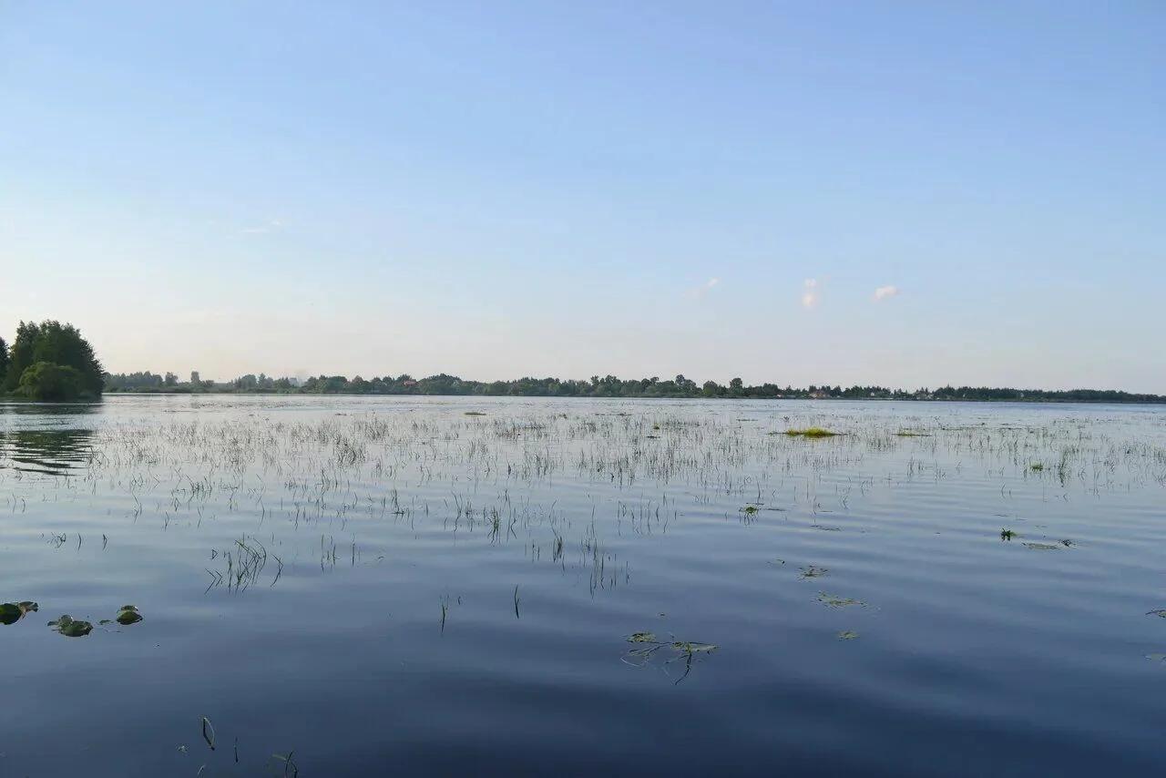Святое (Шатура), фото 3