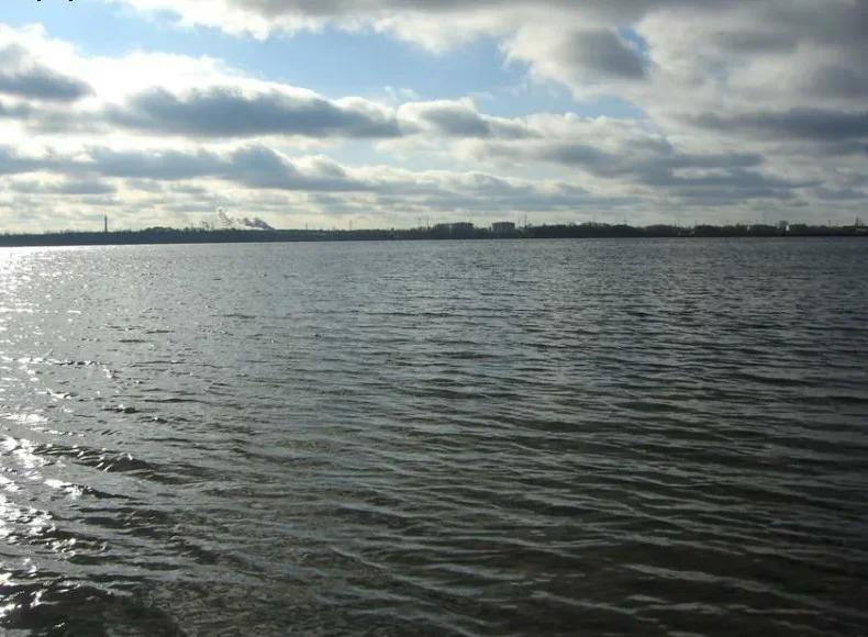 Муромское (Шатура), фото 3