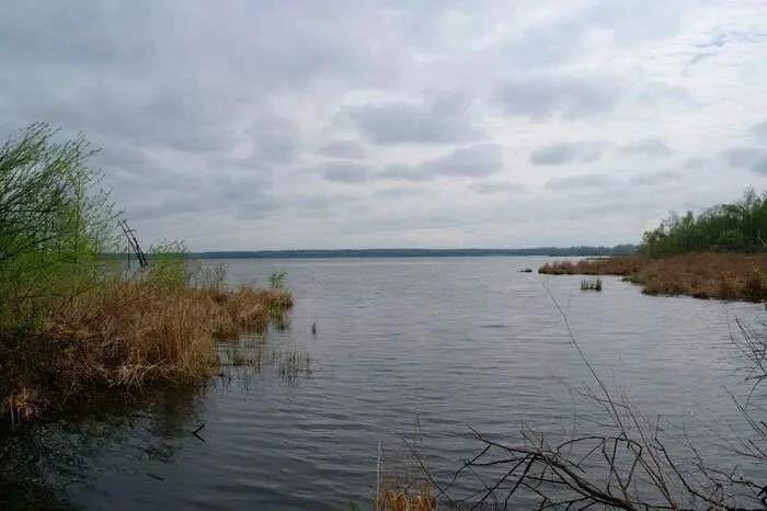Муромское (Шатура)