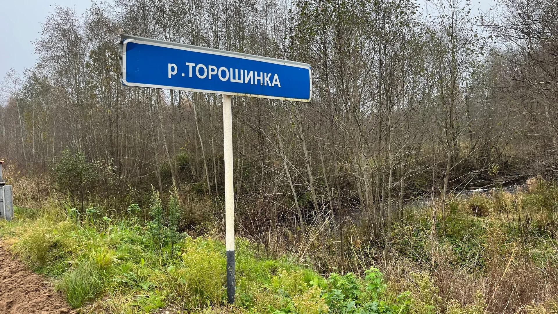 Торошинка