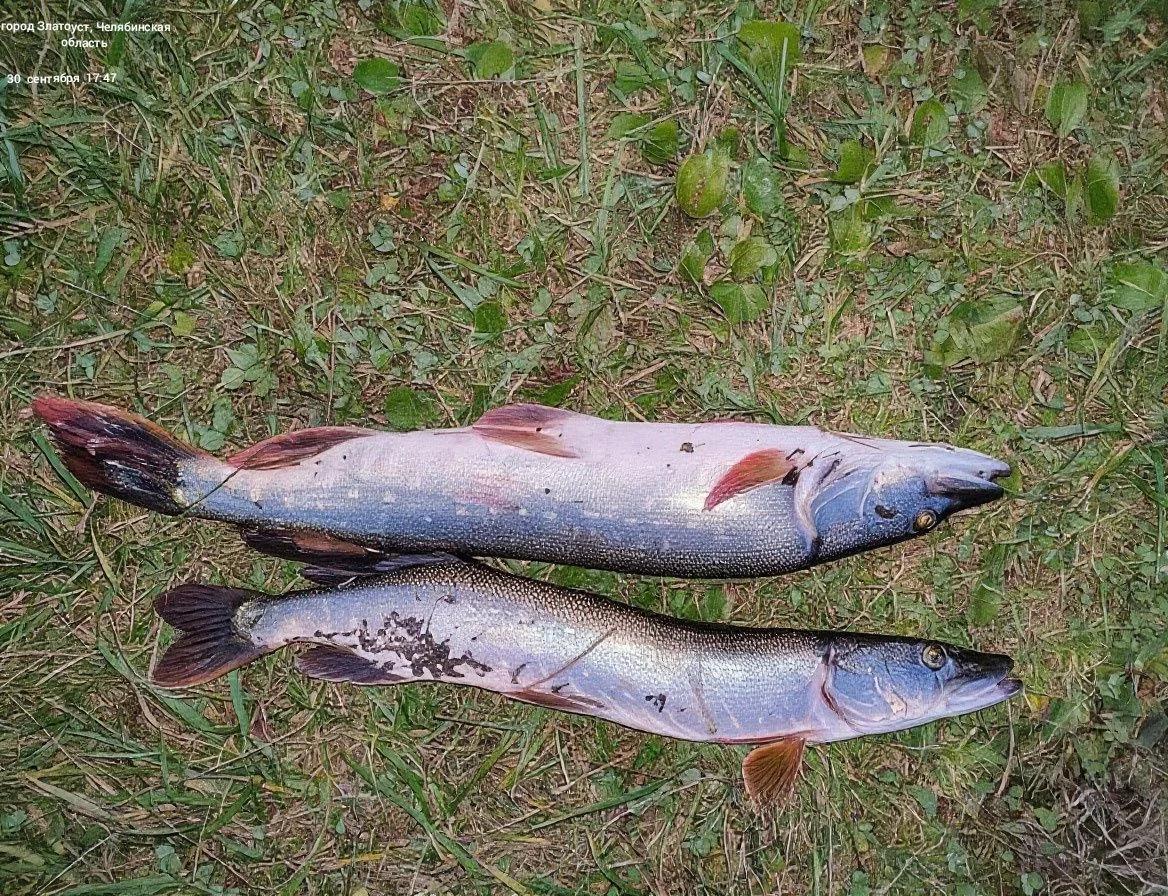 Ай (Карандаш)