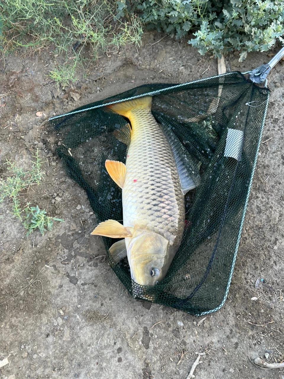 Аксай-Акташский, фото 2