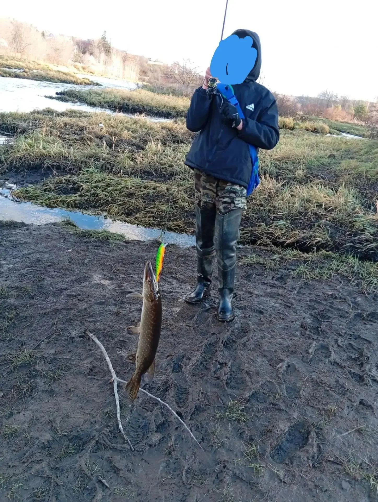 Турья