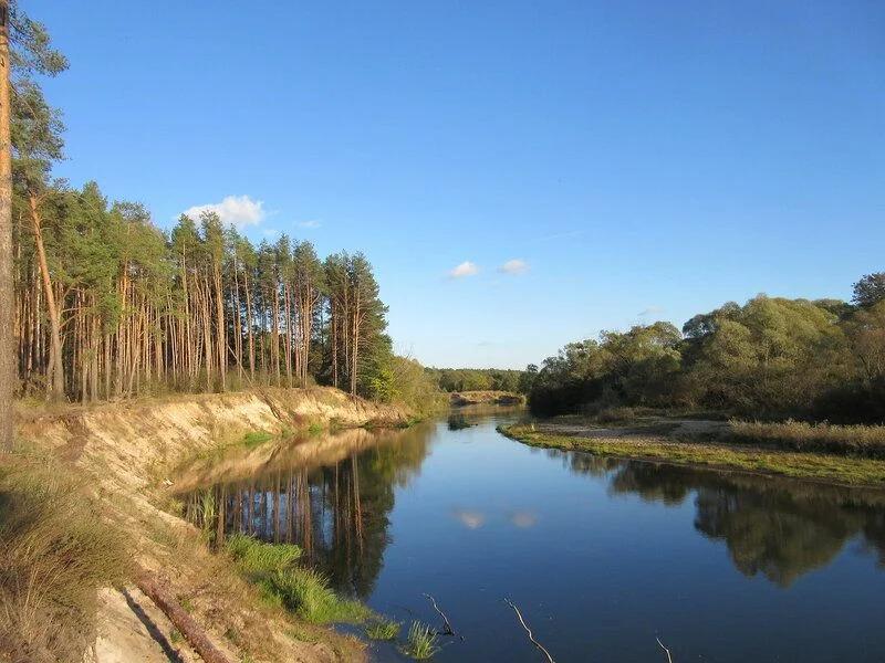 Тросна (Жуковский район)