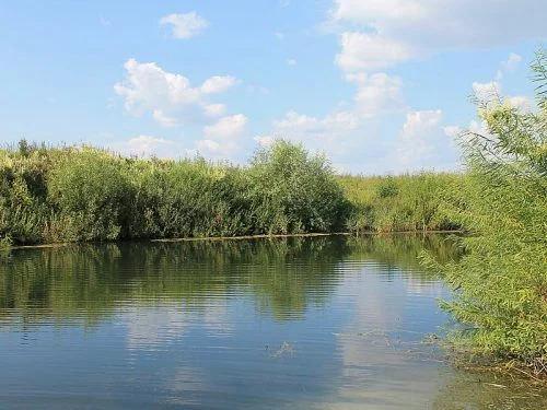Сев, фото 2