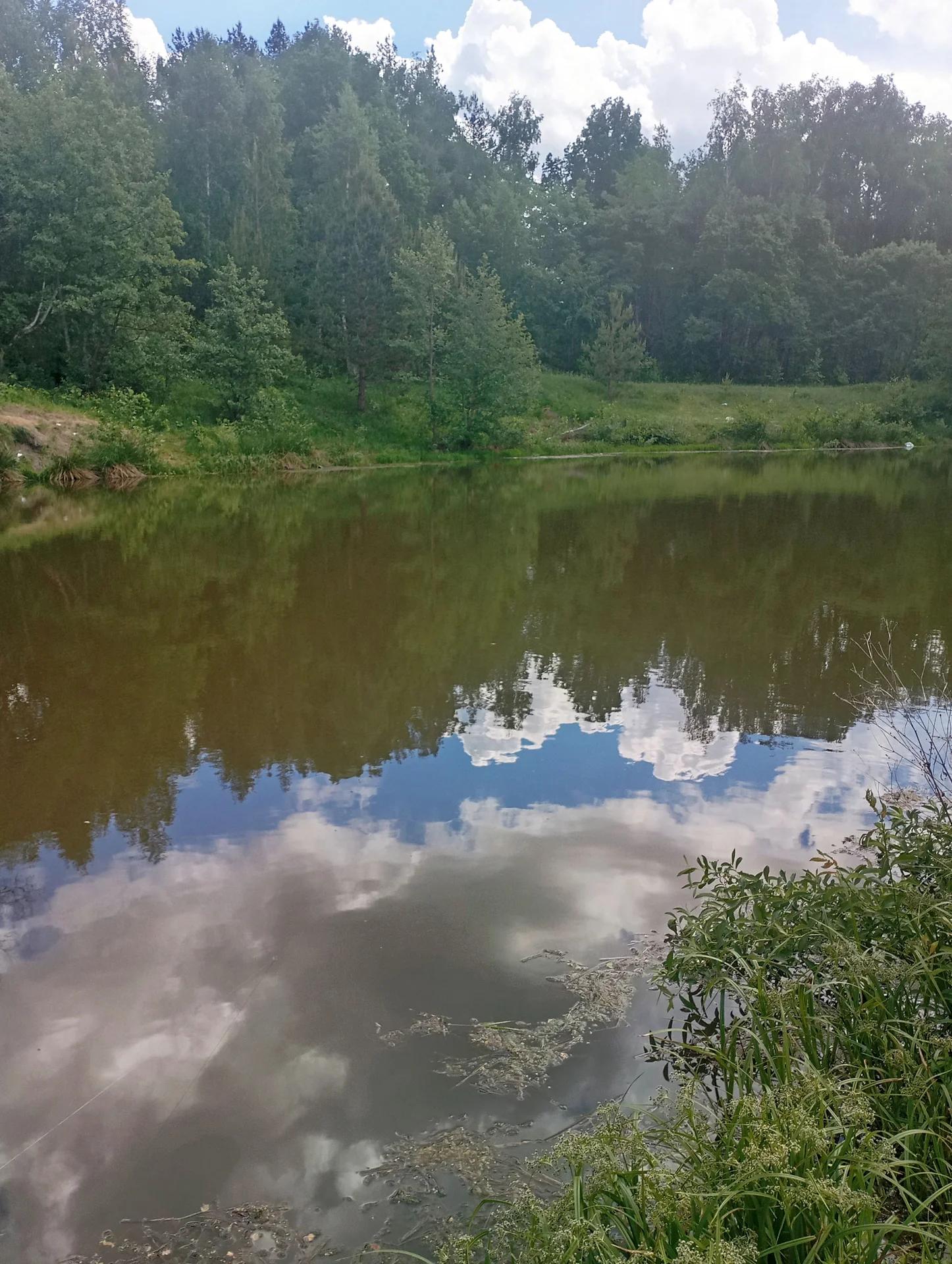 Елхов