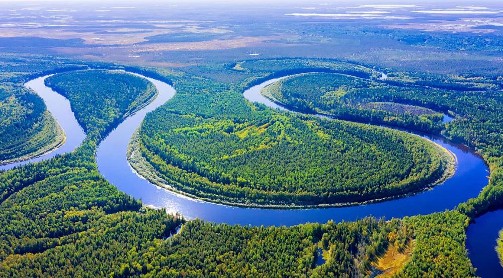 Река Обь: великая артерия Сибири и её рыбное богатство