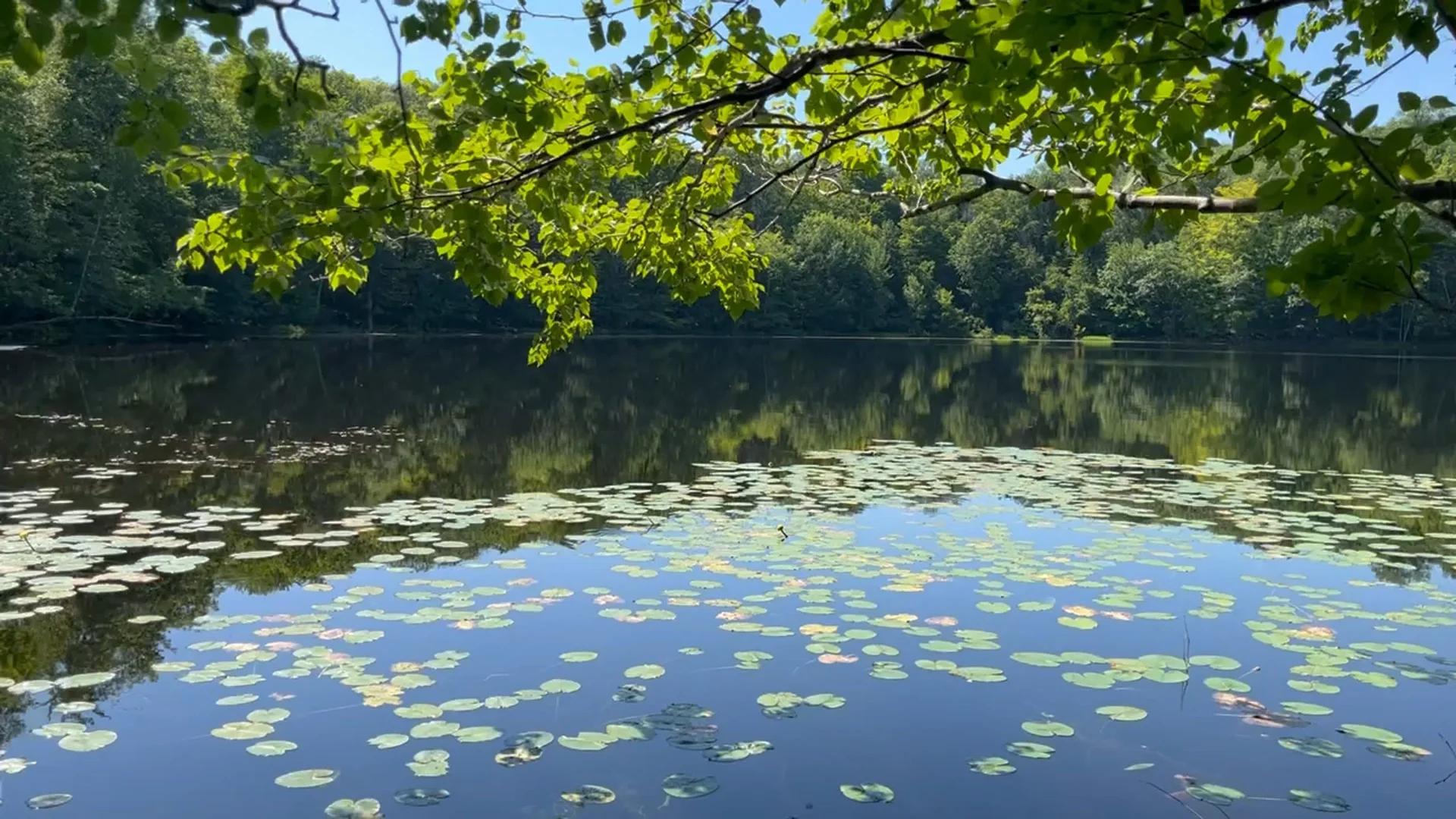 Река Икса: тихая вода и рыбацкие секреты